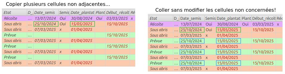 Copier coller avancé